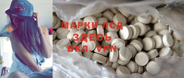 индика Армянск