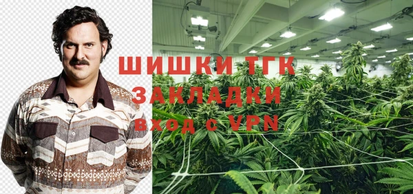 индика Армянск