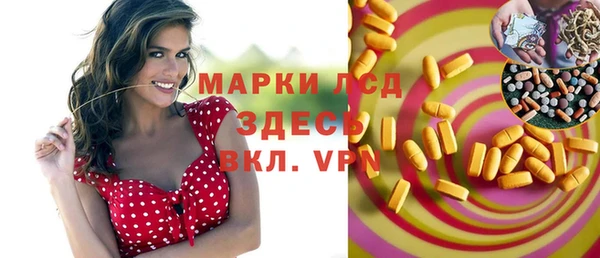 индика Армянск